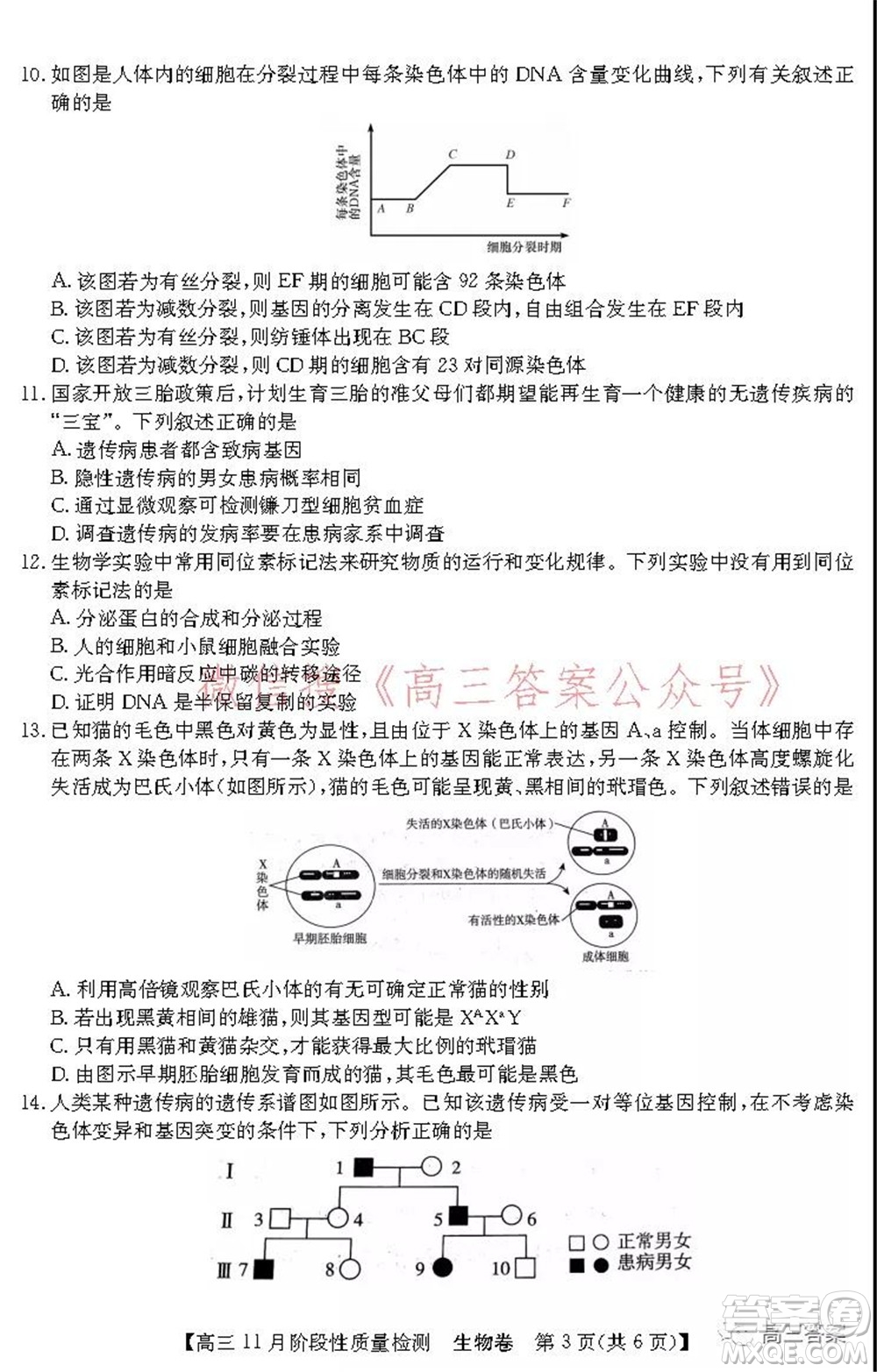 廣東省普通高中2022屆高三11月階段性質(zhì)量檢測生物試題及答案