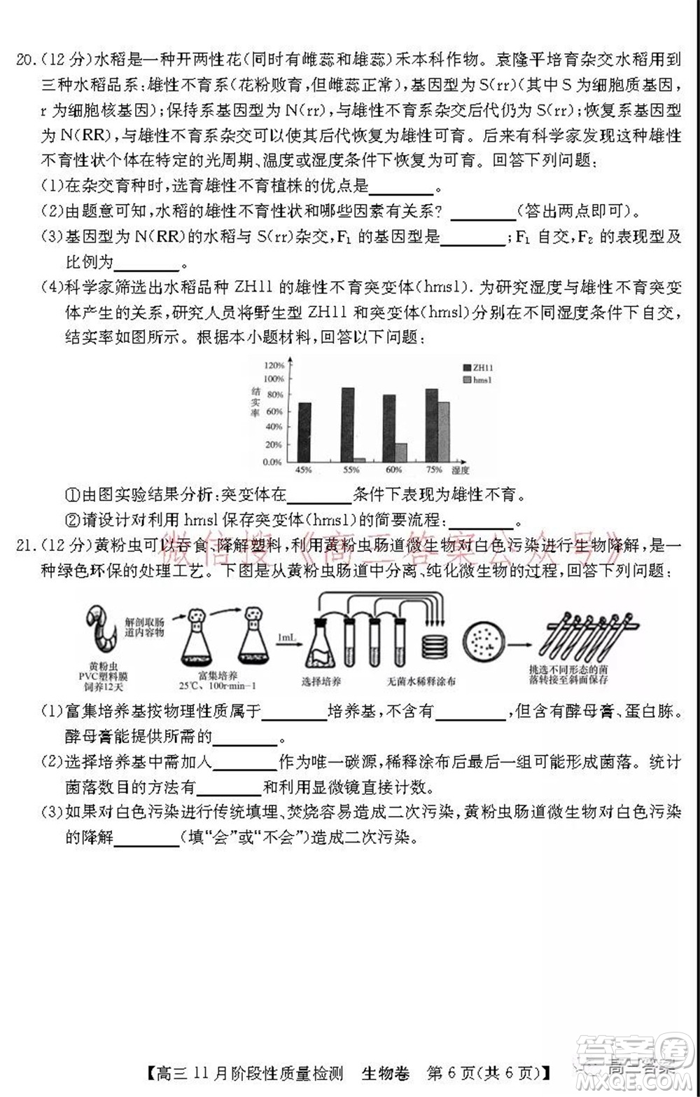 廣東省普通高中2022屆高三11月階段性質(zhì)量檢測生物試題及答案
