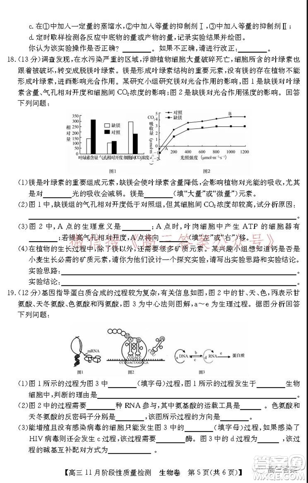 廣東省普通高中2022屆高三11月階段性質(zhì)量檢測生物試題及答案