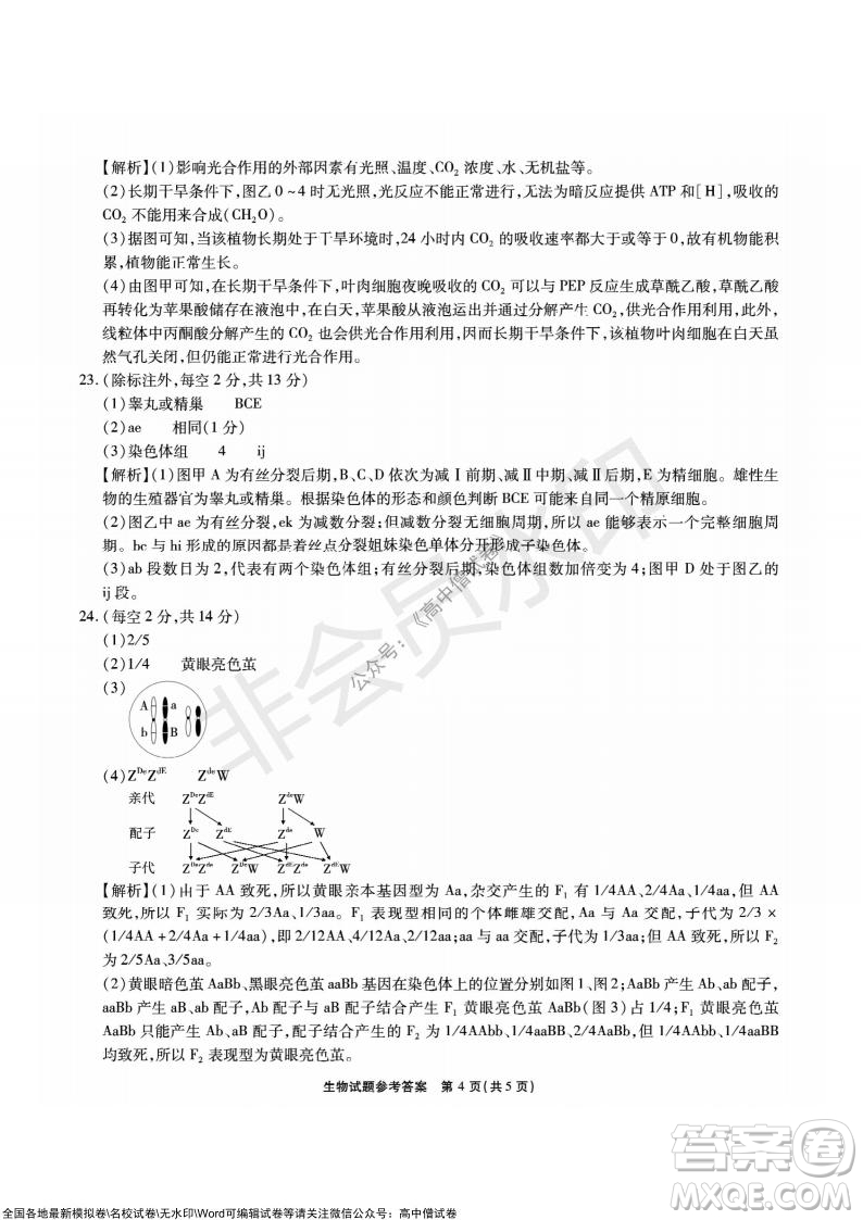 重慶市高2022屆高三第三次質(zhì)量檢測(cè)生物試題及答案