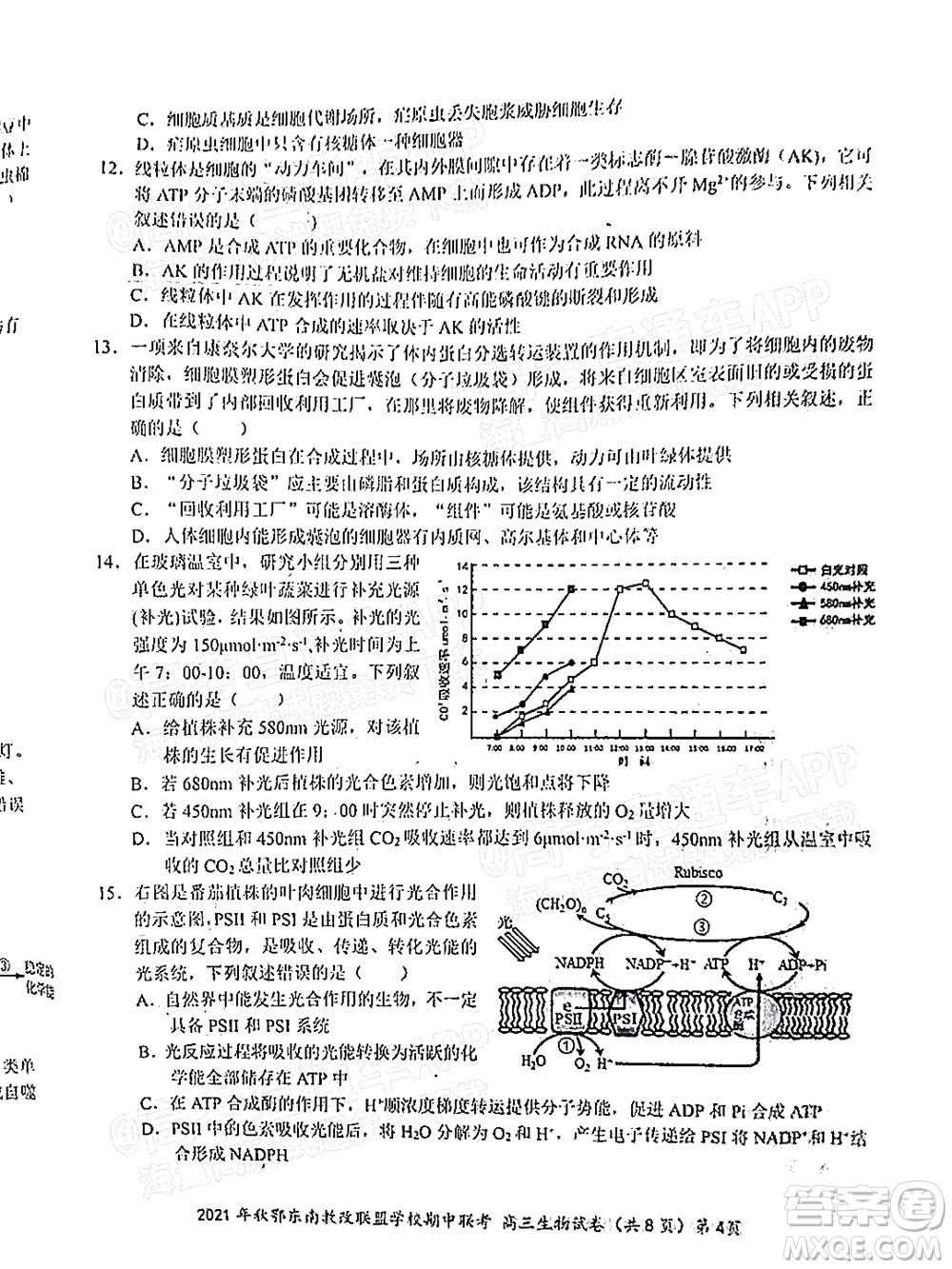2021年秋季鄂東南省級示范高中教育教學(xué)改革聯(lián)盟學(xué)校期中聯(lián)考高三生物試題及答案