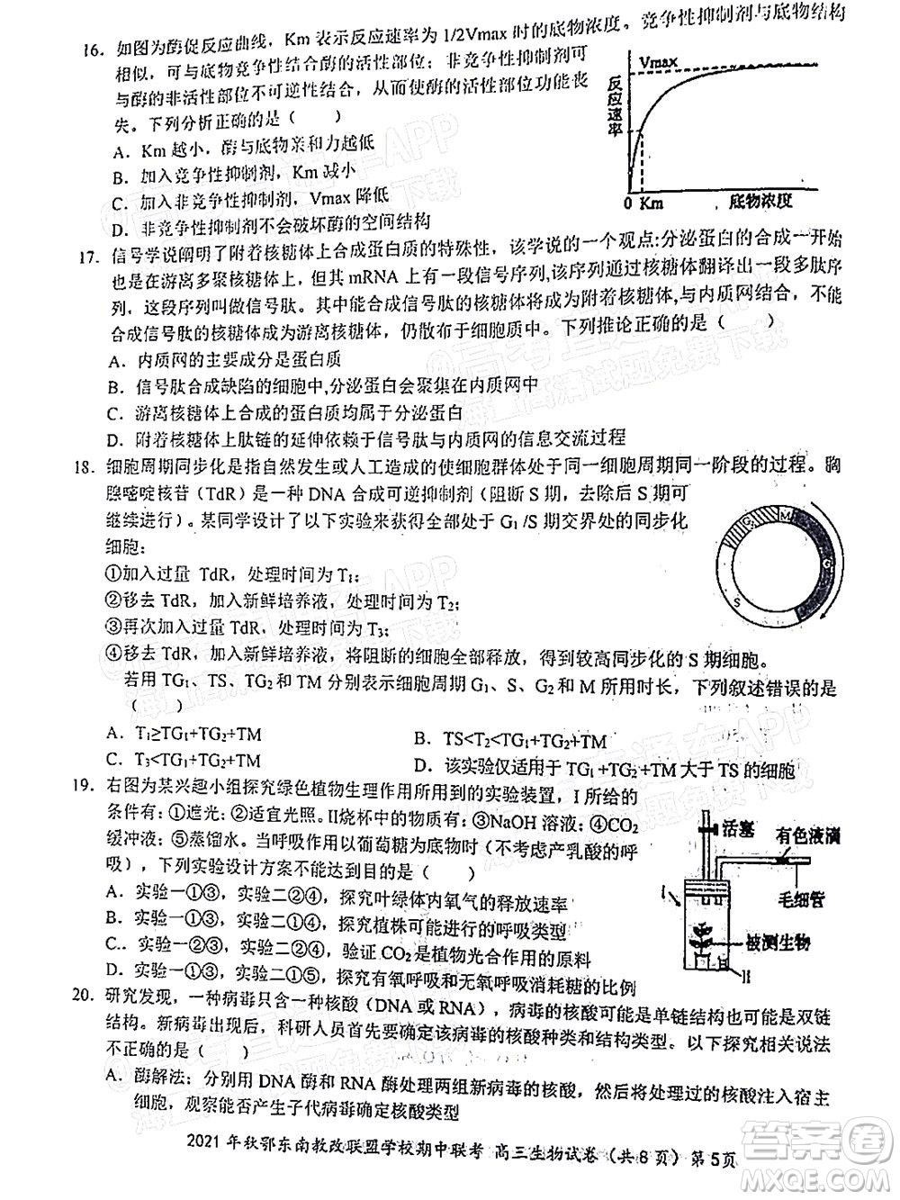 2021年秋季鄂東南省級示范高中教育教學(xué)改革聯(lián)盟學(xué)校期中聯(lián)考高三生物試題及答案
