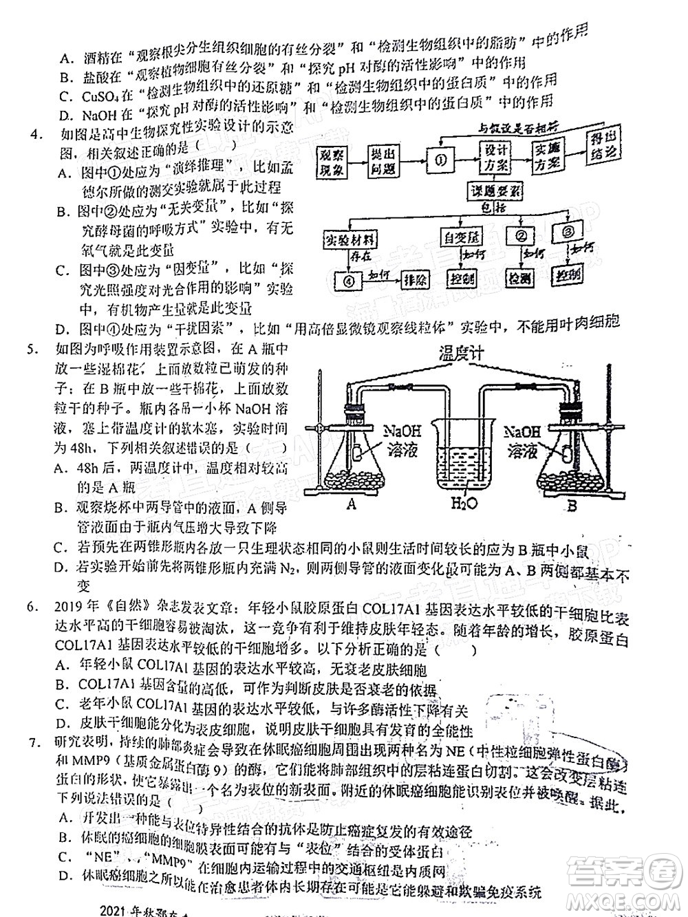 2021年秋季鄂東南省級示范高中教育教學(xué)改革聯(lián)盟學(xué)校期中聯(lián)考高三生物試題及答案