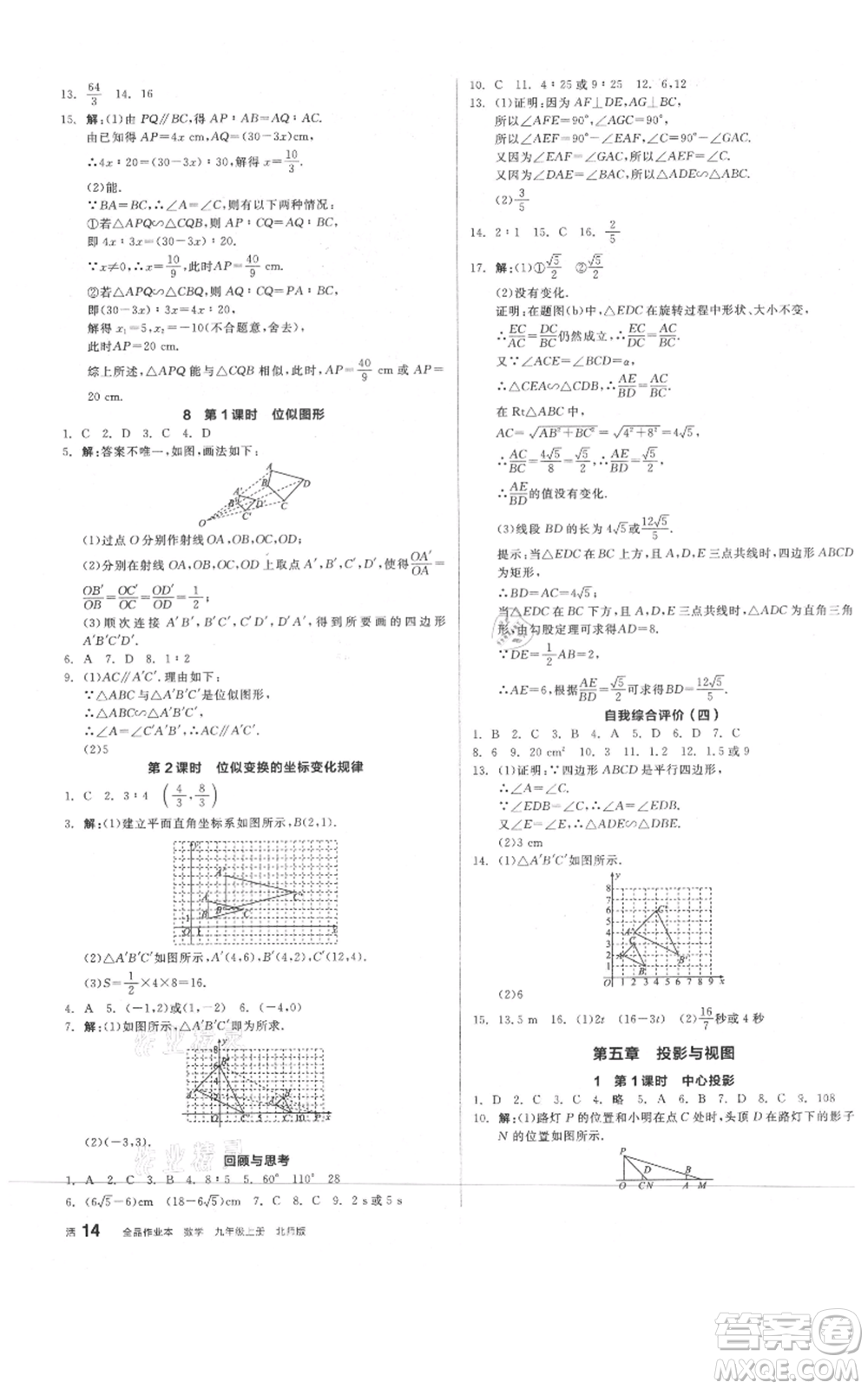 陽光出版社2021全品作業(yè)本九年級上冊數(shù)學(xué)北師大版參考答案