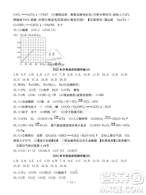 光明日報出版社2021大顯身手素質教育單元測評卷化學九年級全一冊魯教版答案