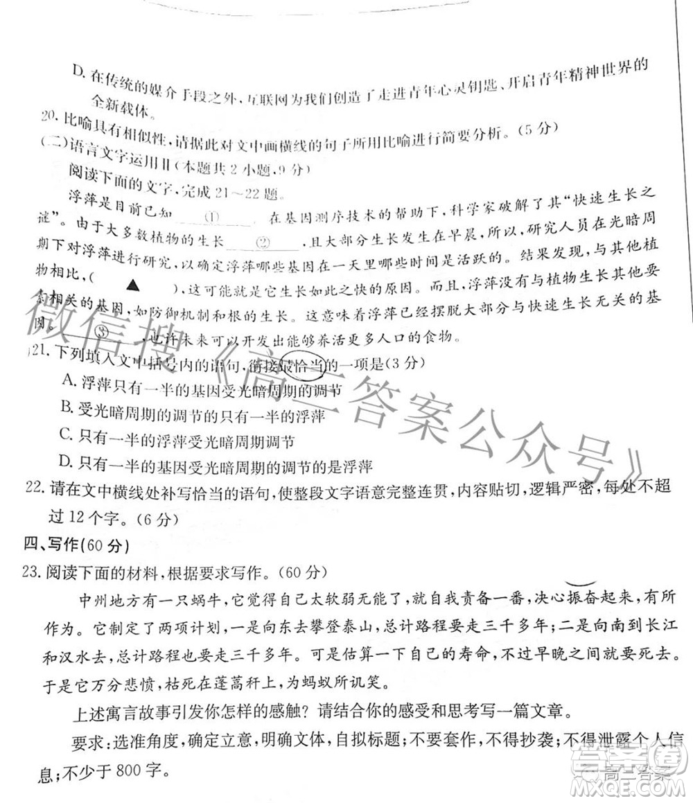 2022屆福建金太陽高三期中考試語文試題及答案