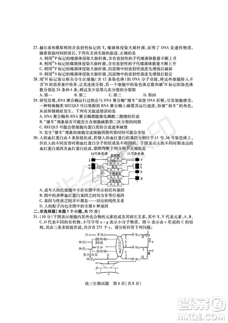 運(yùn)城市2021高三年級(jí)期中調(diào)研測(cè)試生物試題試卷及答案