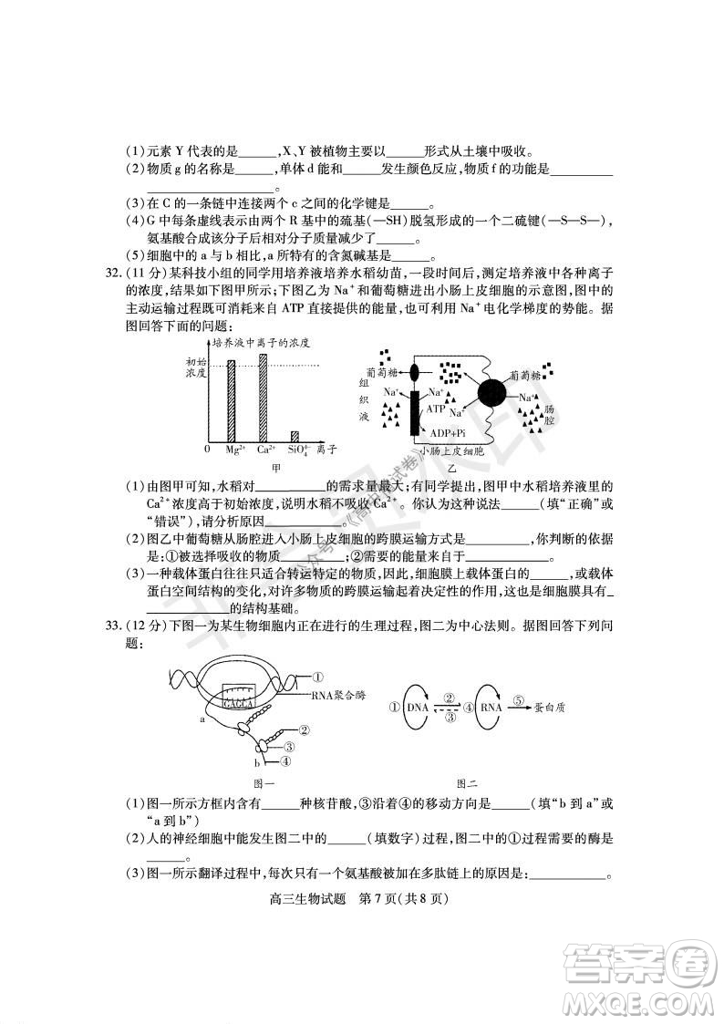 運(yùn)城市2021高三年級(jí)期中調(diào)研測(cè)試生物試題試卷及答案