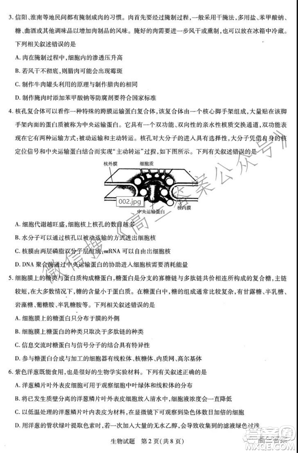 天一大聯(lián)考2021-2022學(xué)年高三年級上學(xué)期期中考試生物試題及答案
