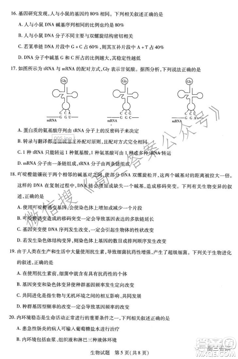 天一大聯(lián)考2021-2022學(xué)年高三年級上學(xué)期期中考試生物試題及答案