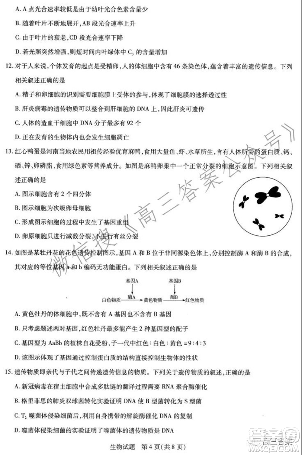 天一大聯(lián)考2021-2022學(xué)年高三年級上學(xué)期期中考試生物試題及答案
