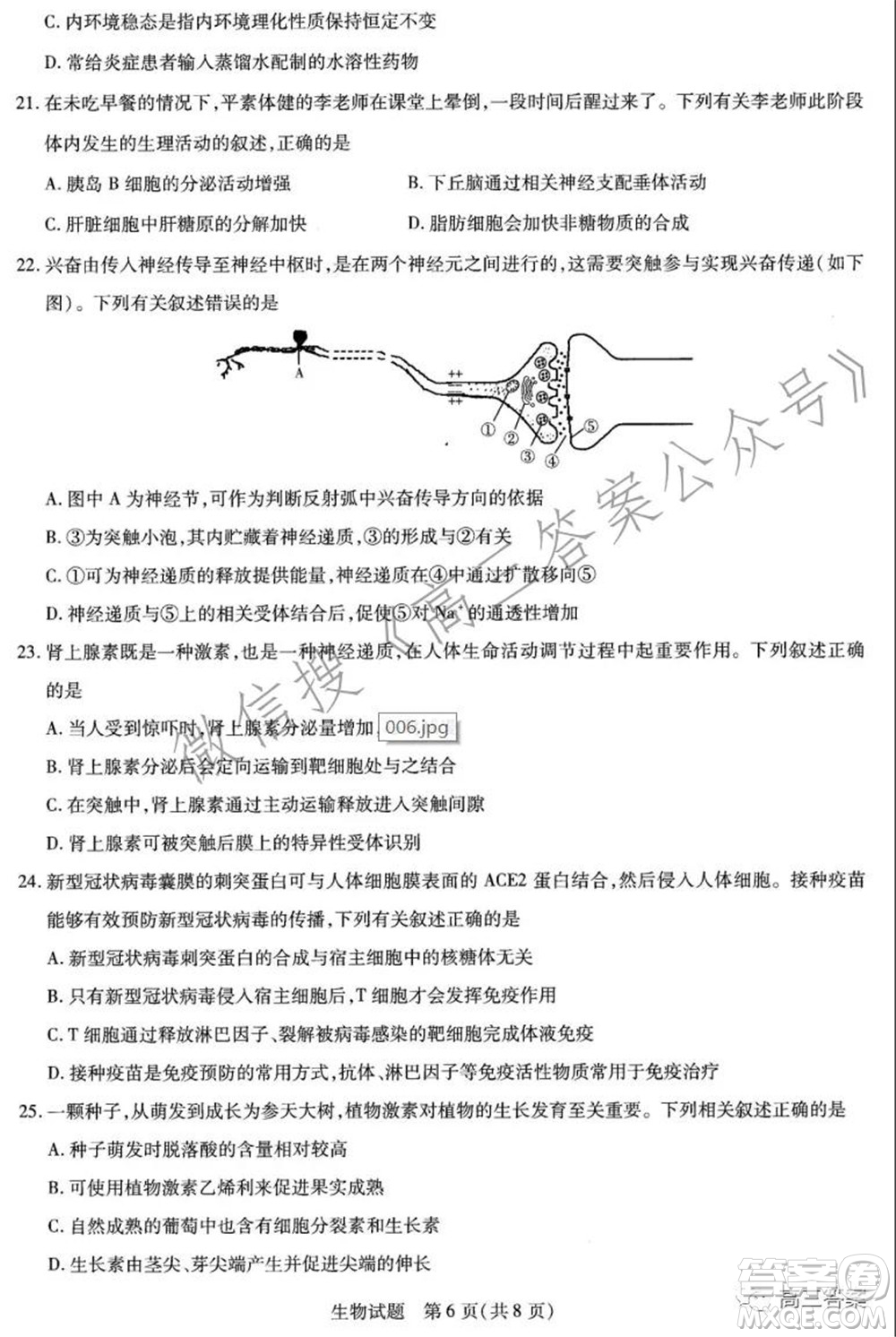 天一大聯(lián)考2021-2022學(xué)年高三年級上學(xué)期期中考試生物試題及答案