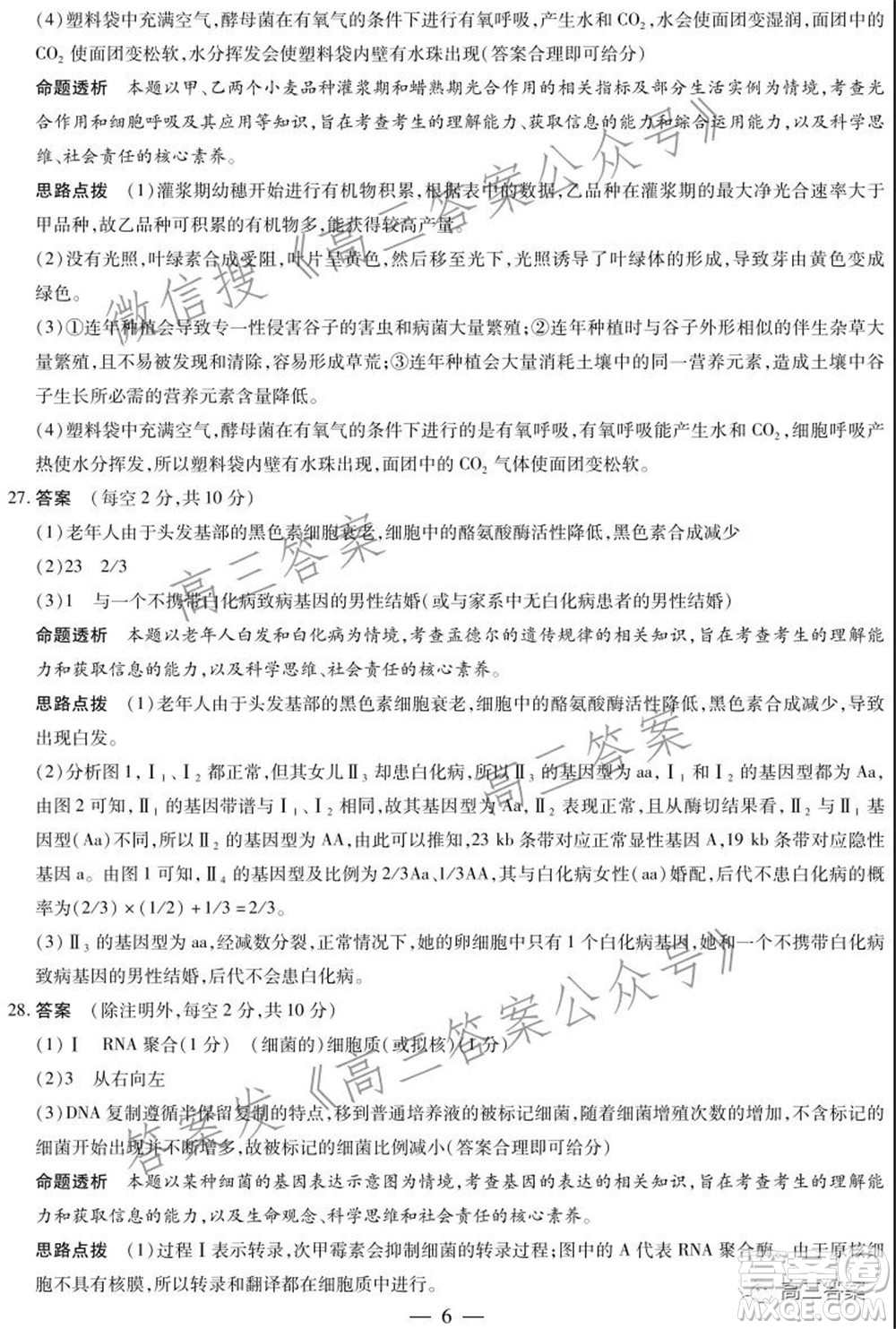 天一大聯(lián)考2021-2022學(xué)年高三年級上學(xué)期期中考試生物試題及答案