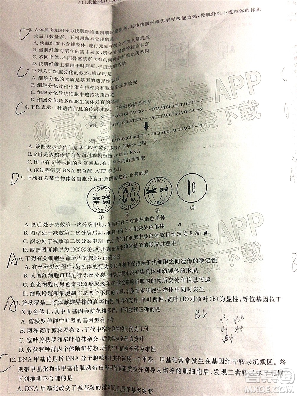 暢學(xué)無憂遼寧2022屆高三上學(xué)期期中考試生物試題及答案