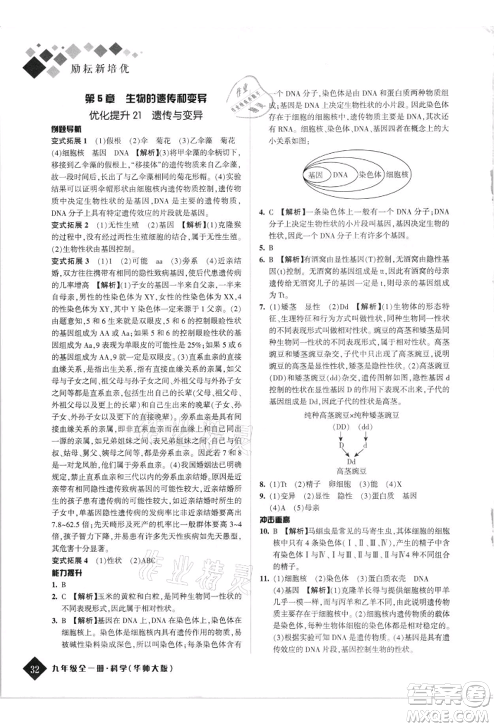 延邊人民出版社2021勵耘新培優(yōu)九年級科學華師大版參考答案