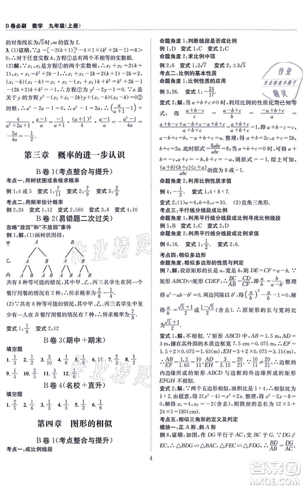 天地出版社2021秋B卷必刷九年級數(shù)學全一冊BS北師版答案