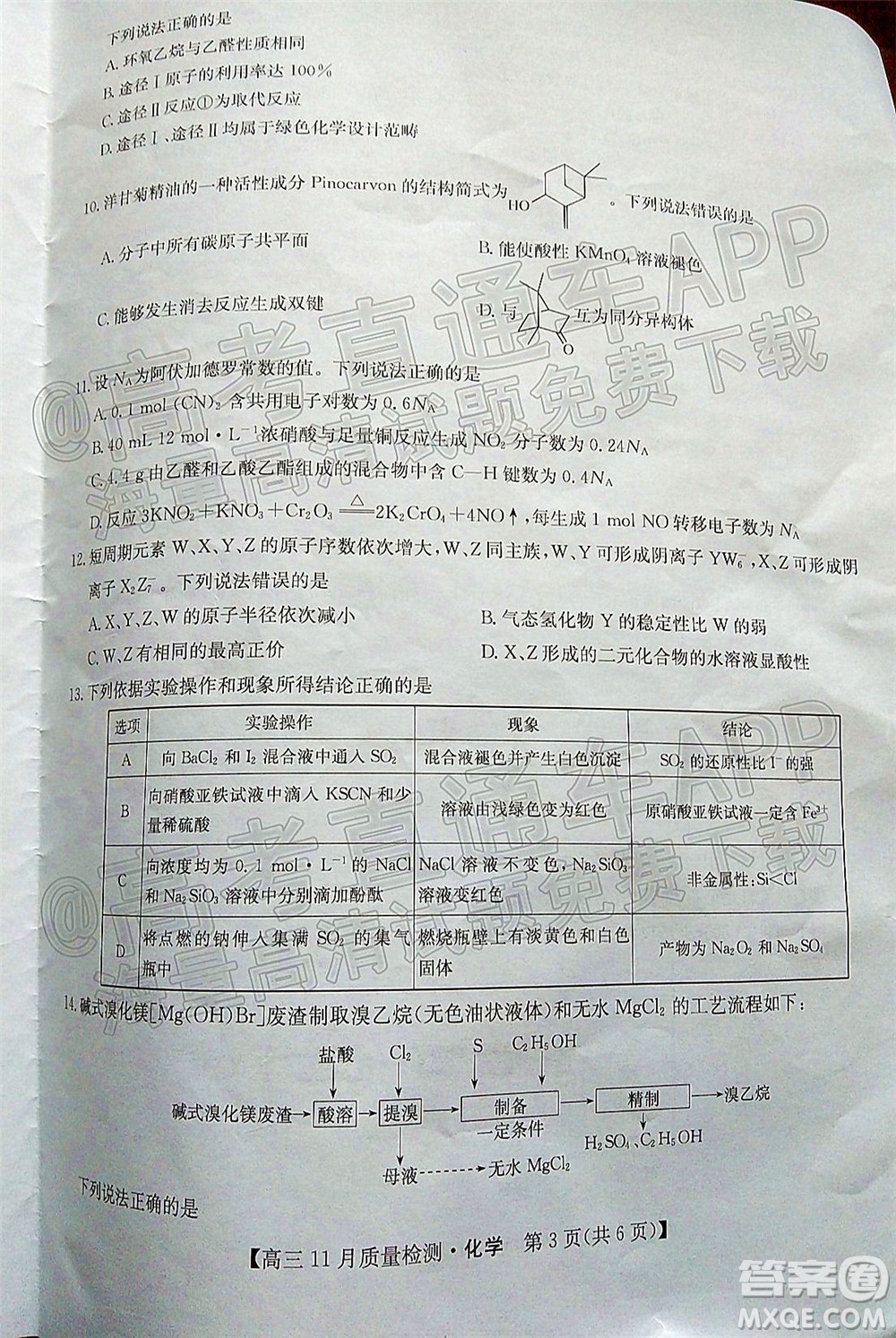 2022屆九師聯(lián)盟高三11月質(zhì)量檢測化學試題及答案