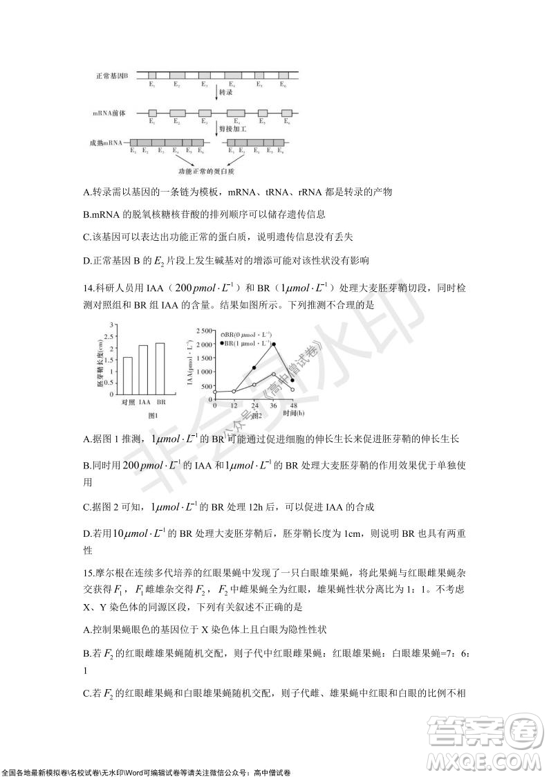 長沙一中深圳實驗學校2022屆高三聯(lián)考生物試題及答案