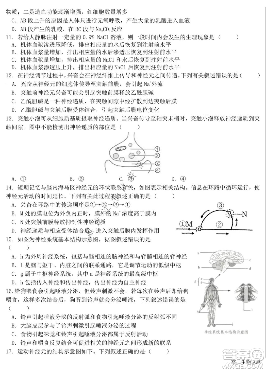 哈爾濱市第六中學2020級上學期期中考試高二生物試題及答案