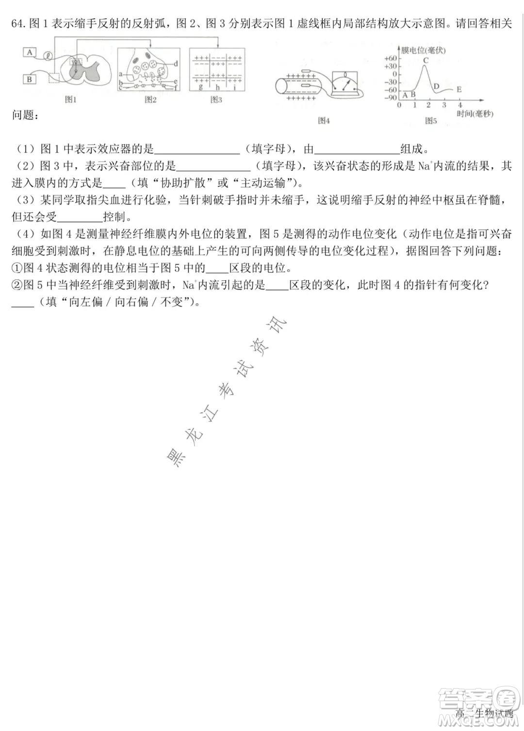 哈爾濱市第六中學2020級上學期期中考試高二生物試題及答案