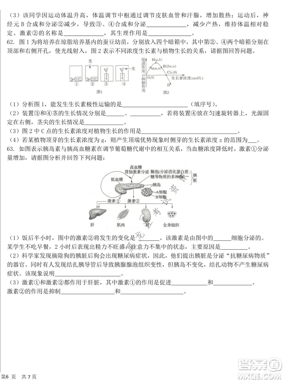哈爾濱市第六中學2020級上學期期中考試高二生物試題及答案