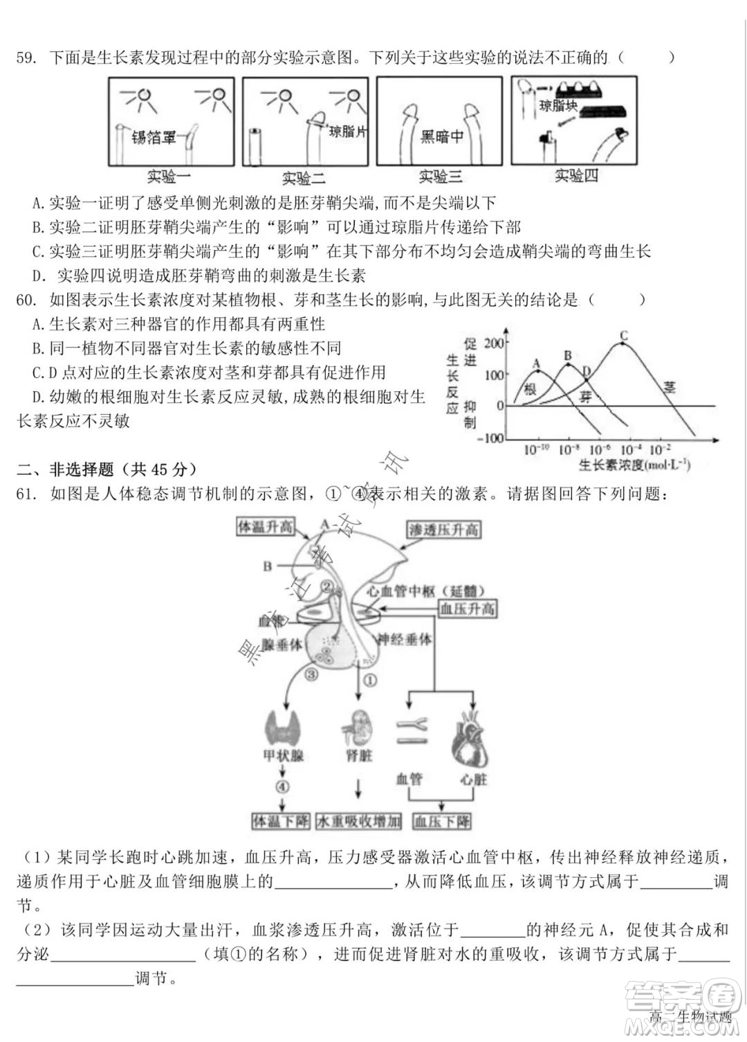 哈爾濱市第六中學2020級上學期期中考試高二生物試題及答案