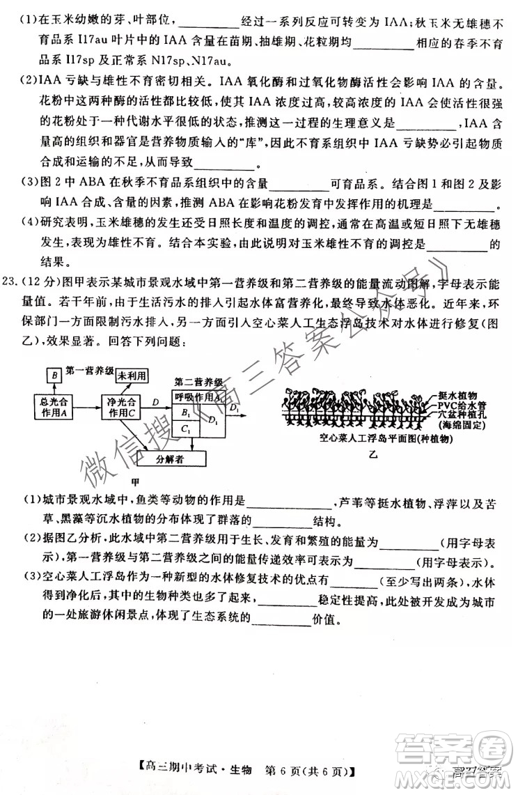 石家莊二中21-22學(xué)年高三年級(jí)期中考試生物試卷及答案