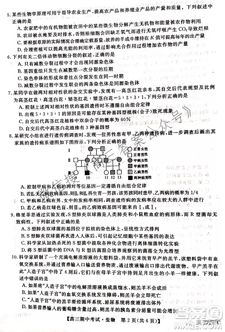 石家莊二中21-22學(xué)年高三年級(jí)期中考試生物試卷及答案