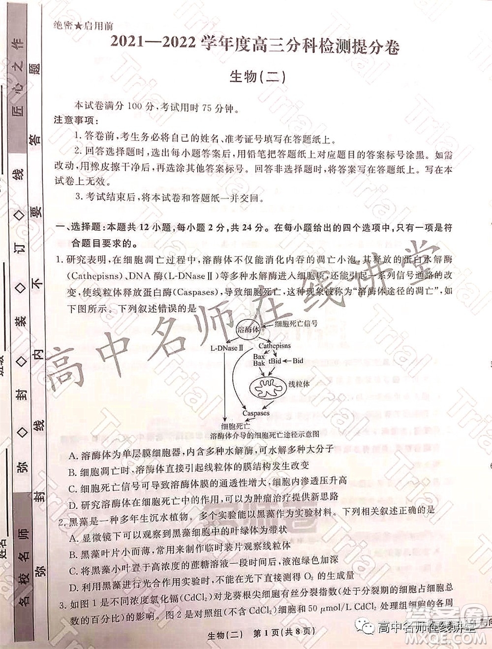2021-2022學年度高三分科檢測提分卷二生物試題及答案