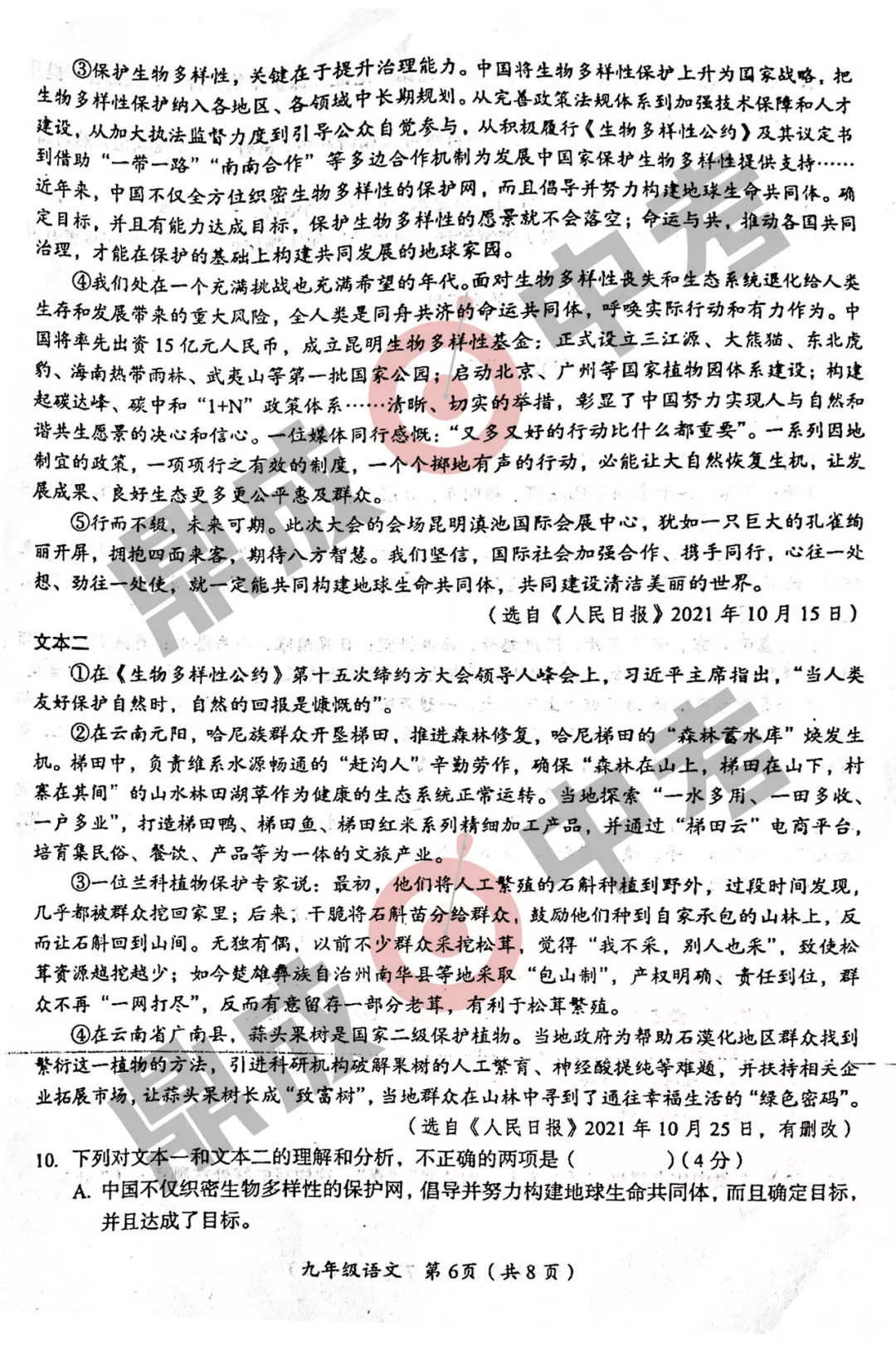 河南省實驗中學2021-2022學年上學期九年級語文期中試卷及答案