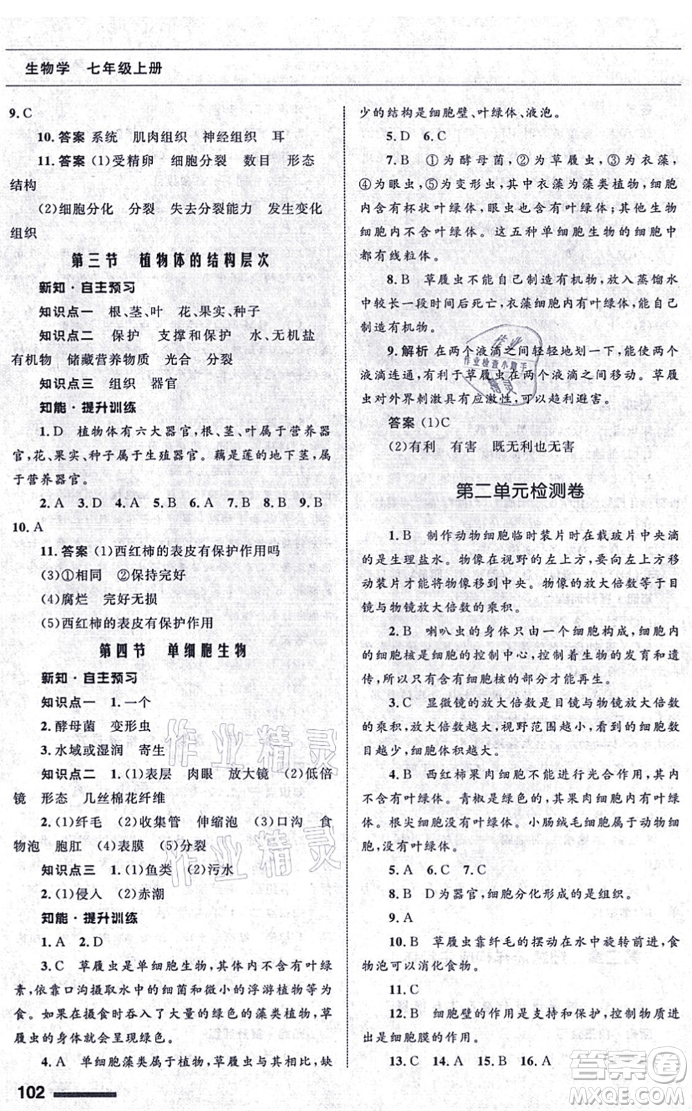 甘肅教育出版社2021生物配套綜合練習七年級上冊人教版答案