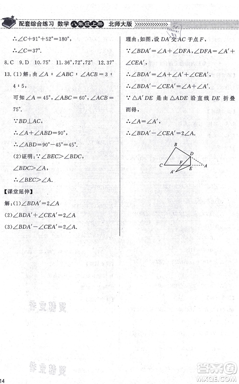 北京師范大學出版社2021數(shù)學配套綜合練習八年級上冊北師大版答案