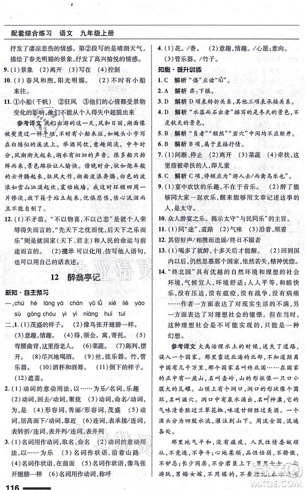 北京師范大學出版社2021語文配套綜合練習九年級上冊人教版答案
