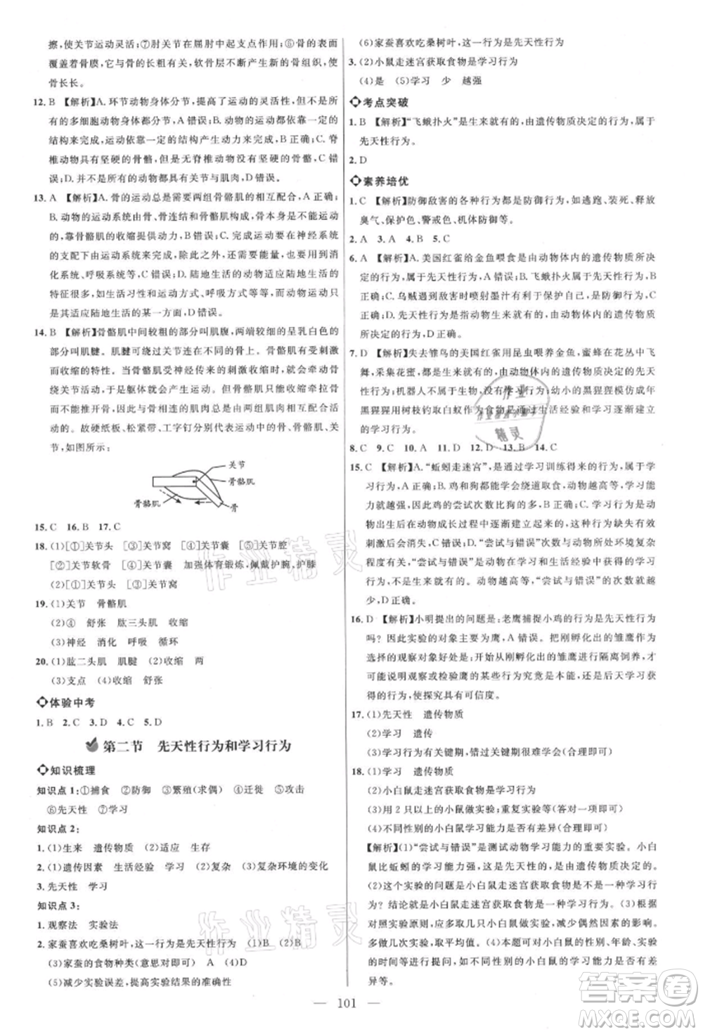 內蒙古少年兒童出版社2021細解巧練八年級生物上冊魯教版參考答案