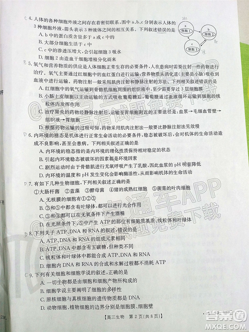 2022屆山西金太陽高三11月聯(lián)考生物試題及答案