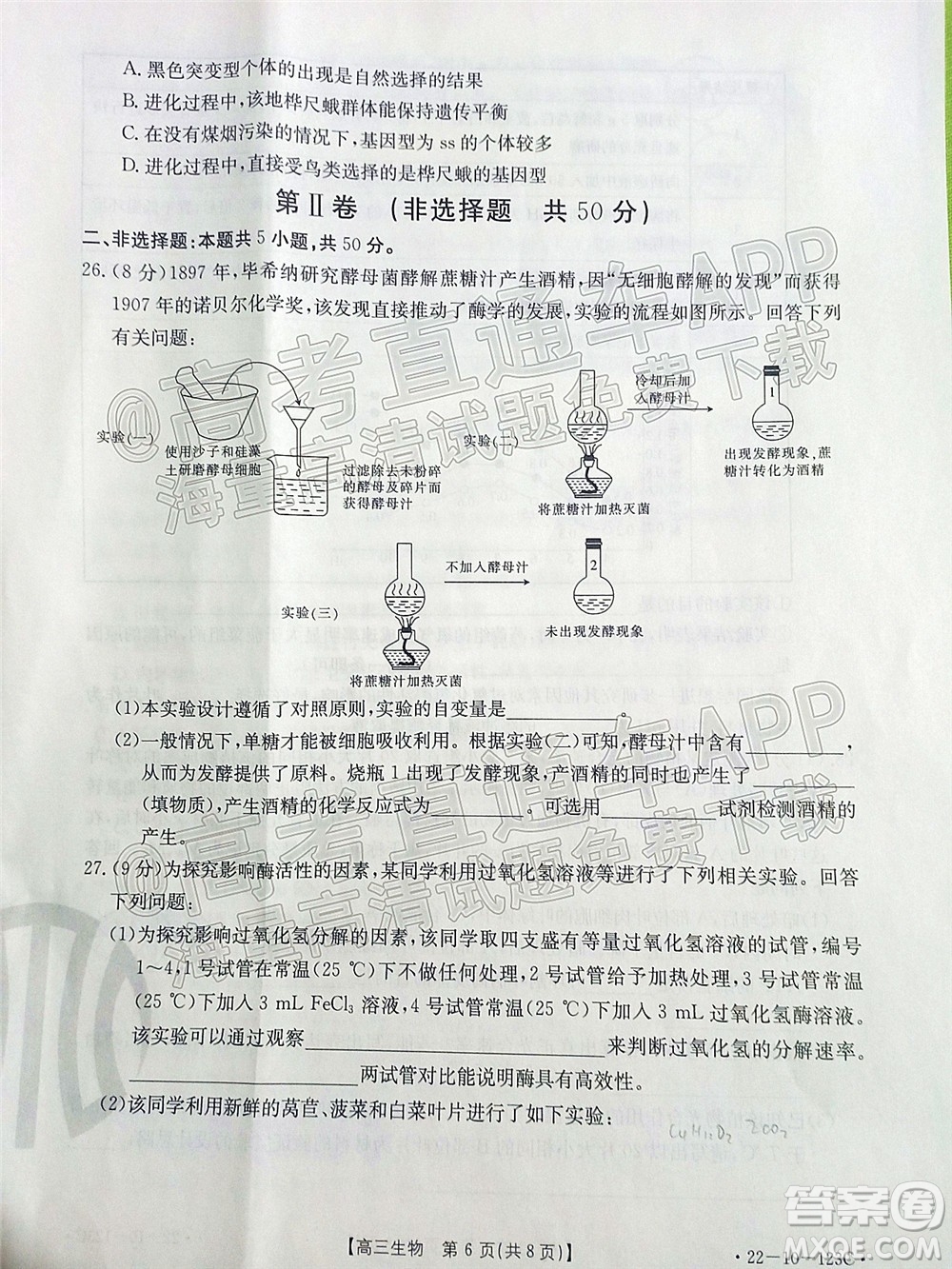 2022屆山西金太陽高三11月聯(lián)考生物試題及答案