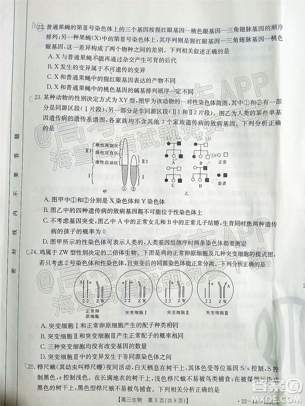 2022屆山西金太陽高三11月聯(lián)考生物試題及答案
