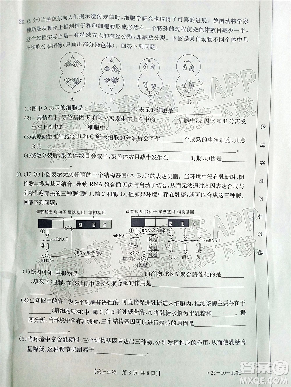 2022屆山西金太陽高三11月聯(lián)考生物試題及答案