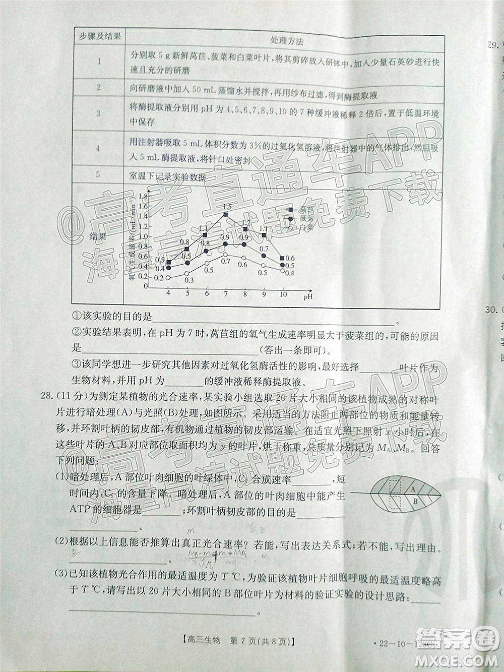 2022屆山西金太陽高三11月聯(lián)考生物試題及答案