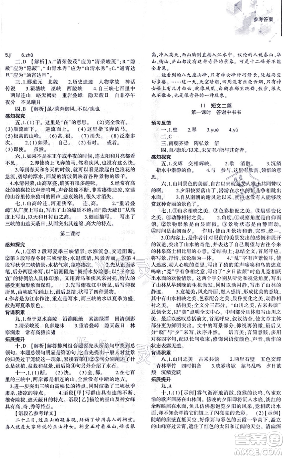 大象出版社2021初中同步練習(xí)冊(cè)八年級(jí)語(yǔ)文上冊(cè)人教版答案