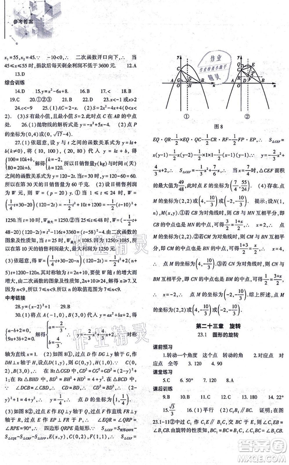 大象出版社2021初中同步練習(xí)冊(cè)九年級(jí)數(shù)學(xué)上冊(cè)人教版答案