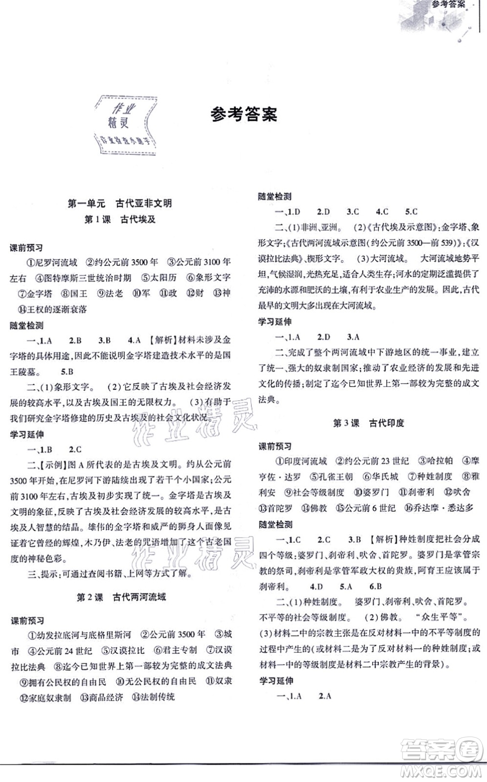 大象出版社2021初中同步練習(xí)冊(cè)九年級(jí)歷史上冊(cè)人教版答案