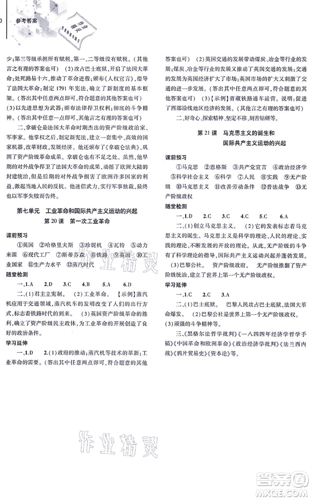大象出版社2021初中同步練習(xí)冊(cè)九年級(jí)歷史上冊(cè)人教版答案