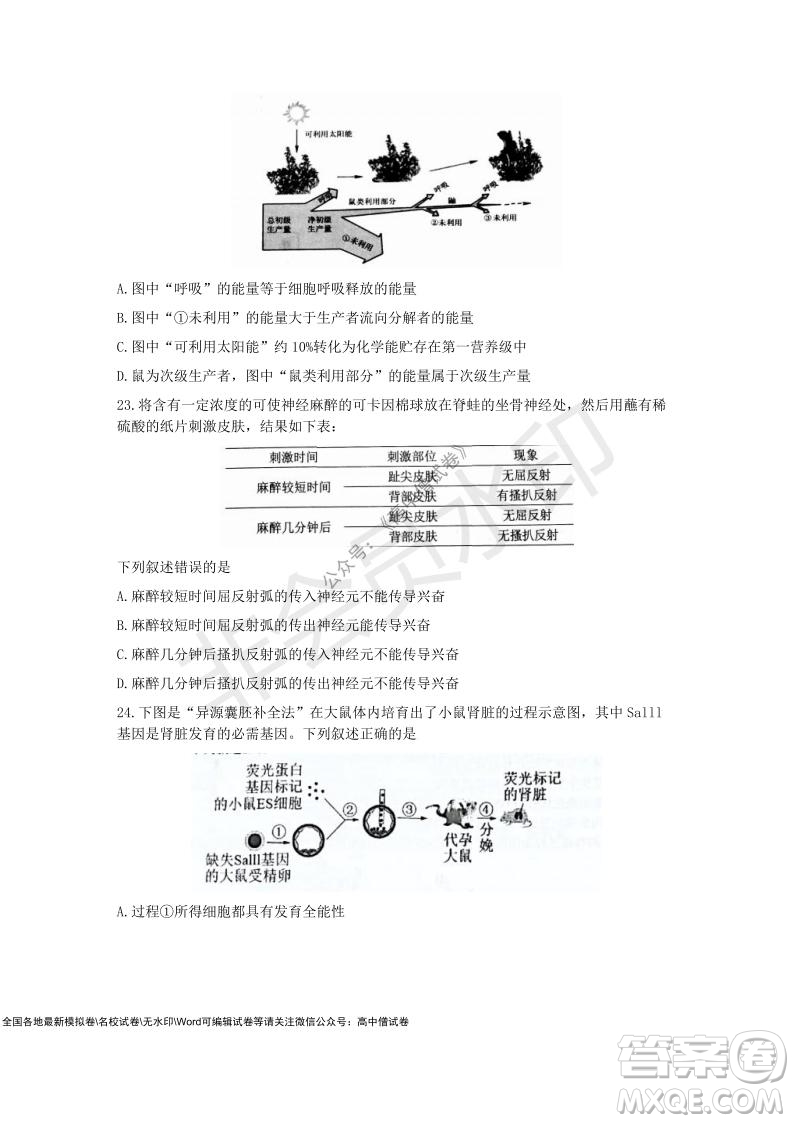 2021學(xué)年第一學(xué)期浙江省9+1高中聯(lián)盟期中考試高三年級(jí)生物試題及答案