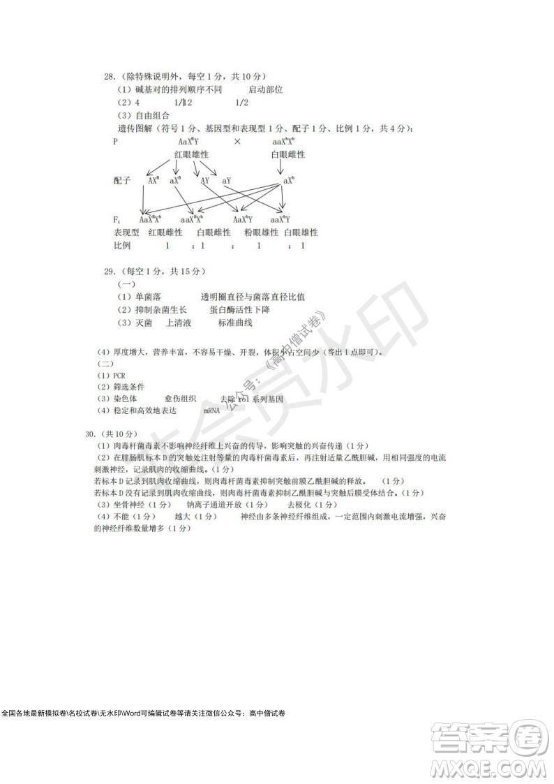2021學(xué)年第一學(xué)期浙江省9+1高中聯(lián)盟期中考試高三年級(jí)生物試題及答案