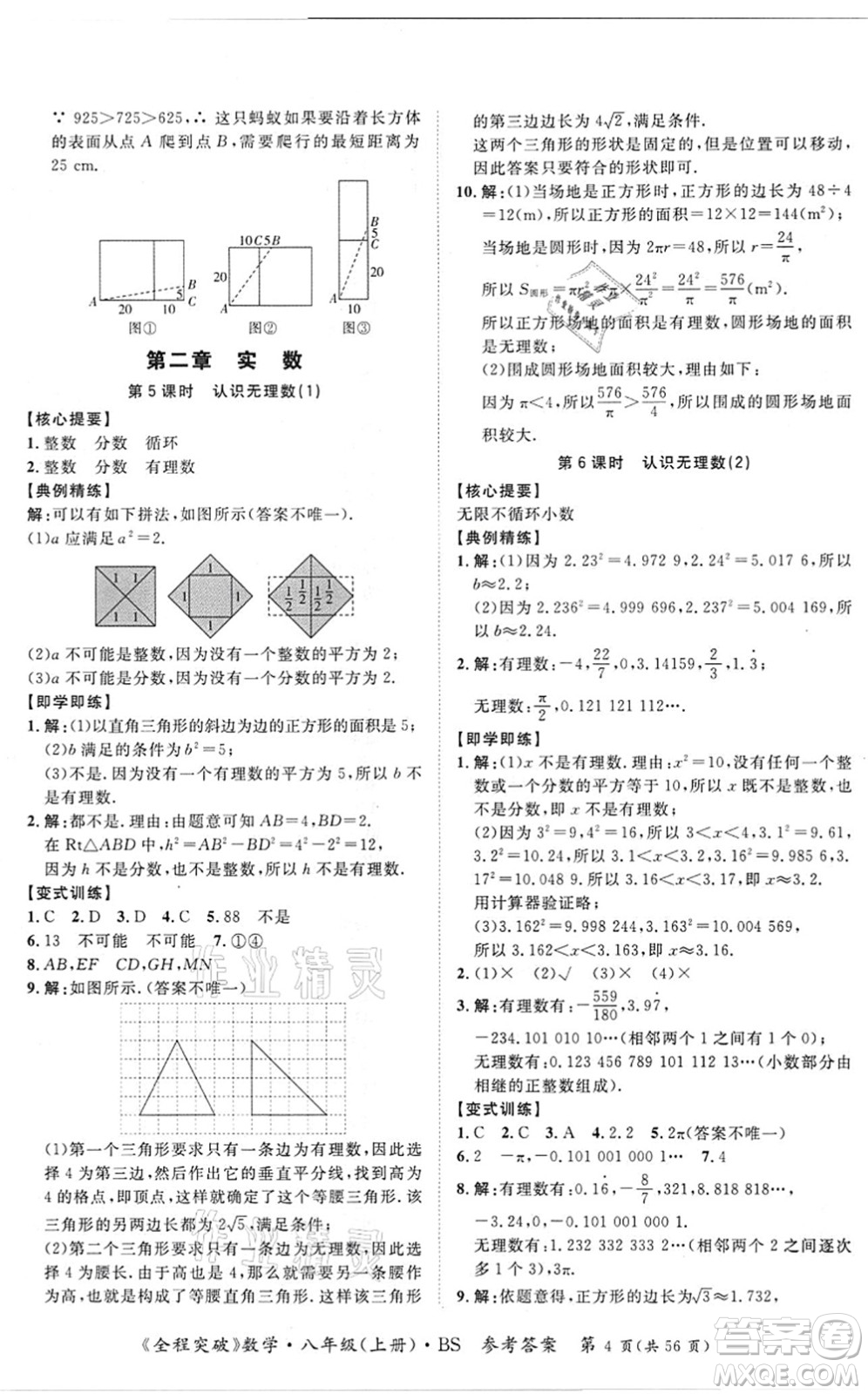延邊大學出版社2021思而優(yōu)教育全程突破八年級數學上冊BS北師版答案