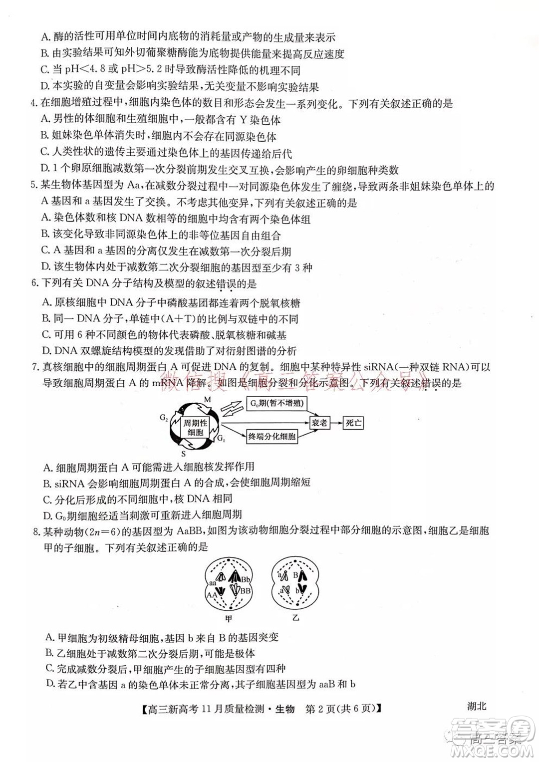 2022屆九師聯(lián)盟高三新高考11月質(zhì)量檢測生物試題及答案