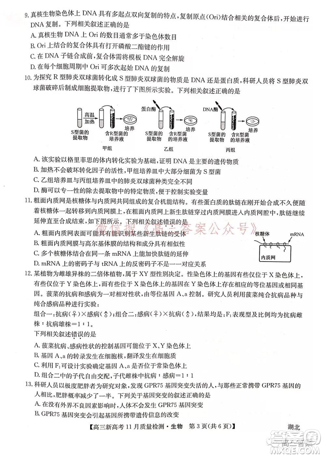 2022屆九師聯(lián)盟高三新高考11月質(zhì)量檢測生物試題及答案