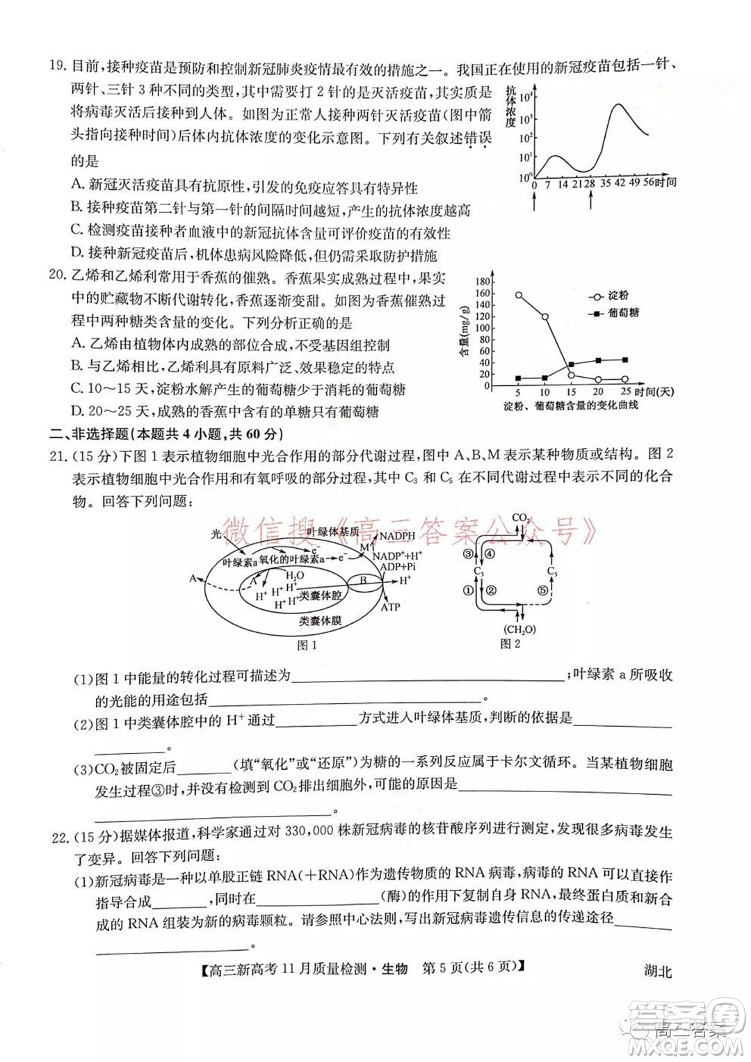 2022屆九師聯(lián)盟高三新高考11月質(zhì)量檢測生物試題及答案