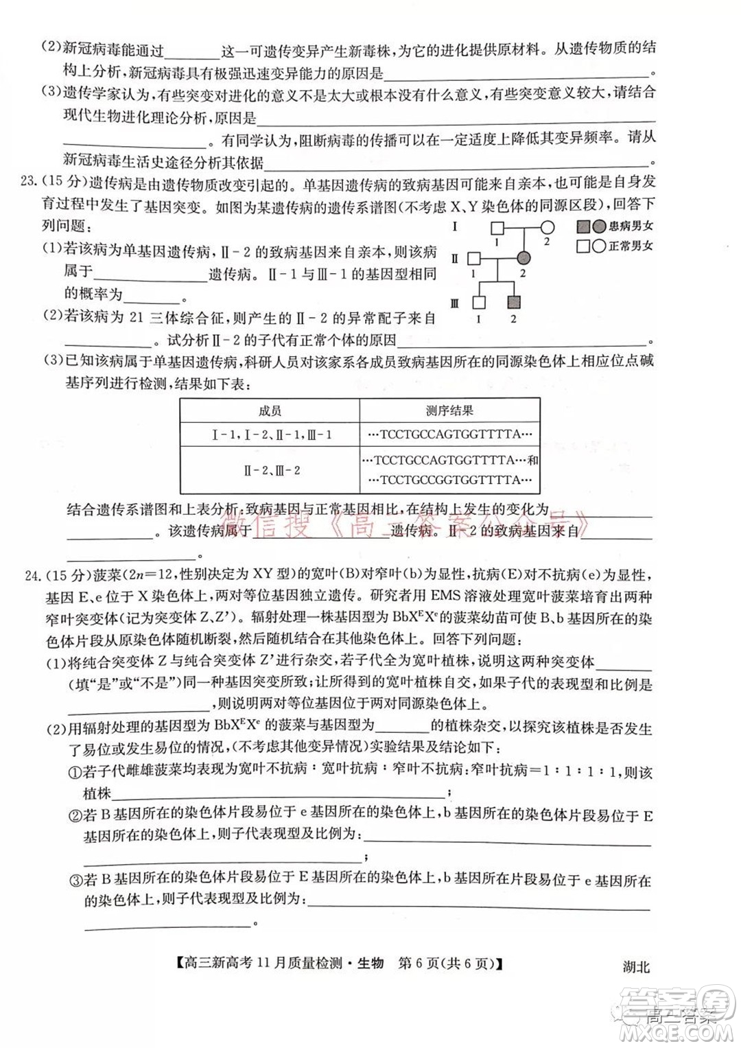2022屆九師聯(lián)盟高三新高考11月質(zhì)量檢測生物試題及答案